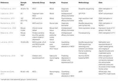 Bridging Basic and Clinical Research in Early Life Adversity, DNA Methylation, and Major Depressive Disorder